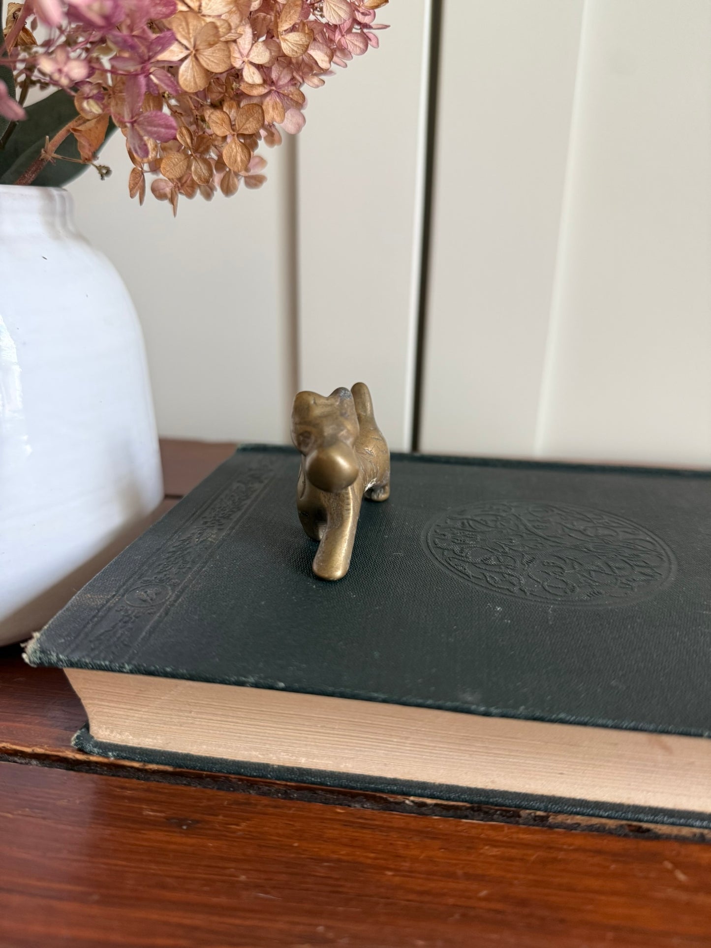 Brass Terrier