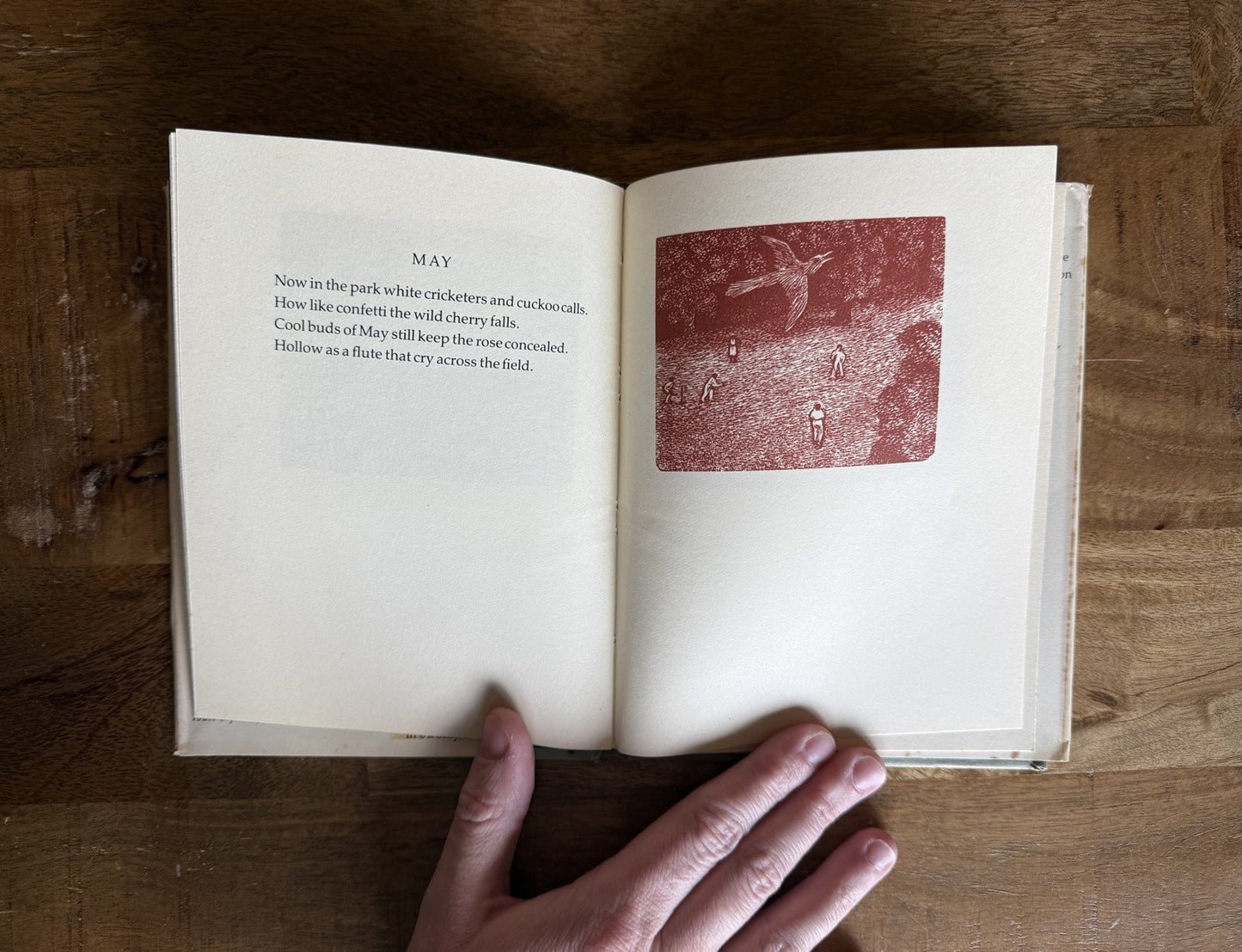 1984 A Year of Birds Book by Iris Murdoch and Engravings by Reynolds Stone