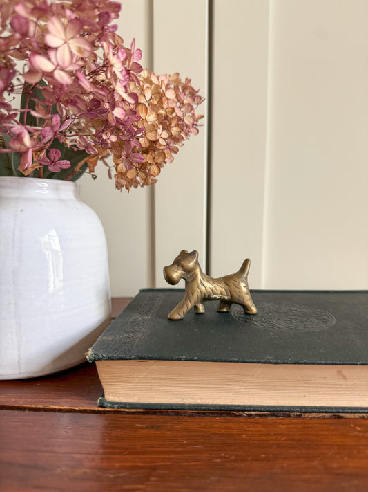 Brass Terrier