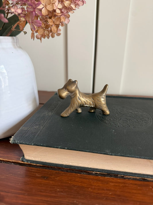Brass Terrier